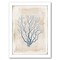 Sea Garden V by Katie Pertiet Black Framed Print 8x10 - Americanflat